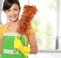 Professional Domestic Cleaning Companies in Croydon